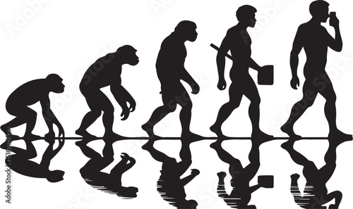 Human evolution illustration