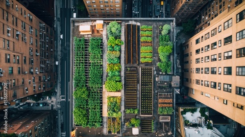 Aerial View of Urban Rooftop Garden in City