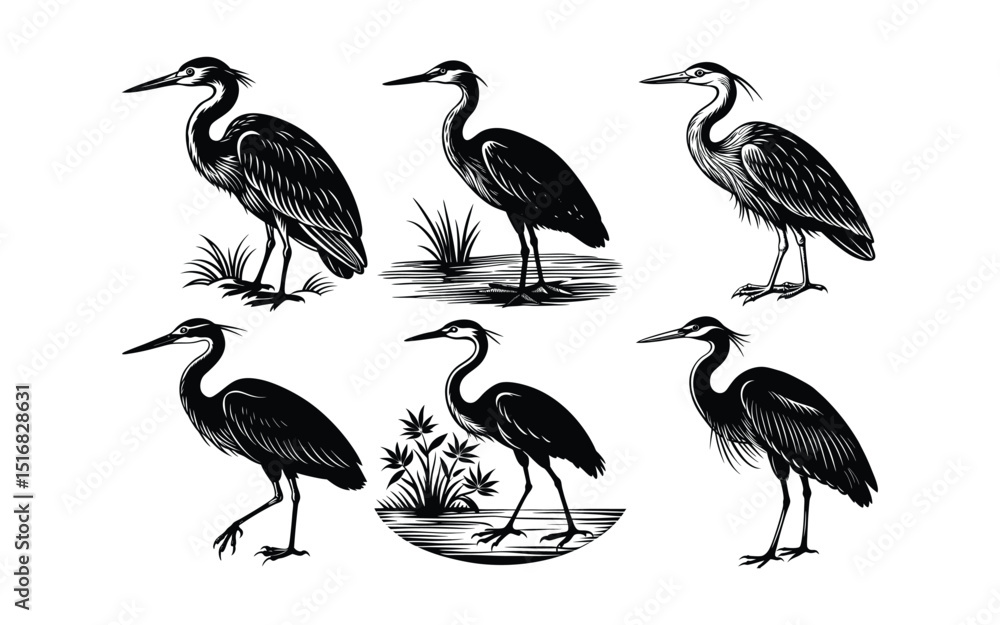 Fototapeta premium set of vector birds