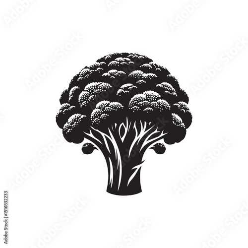 Broccoli Vector (3).eps