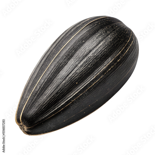 sunflower seed