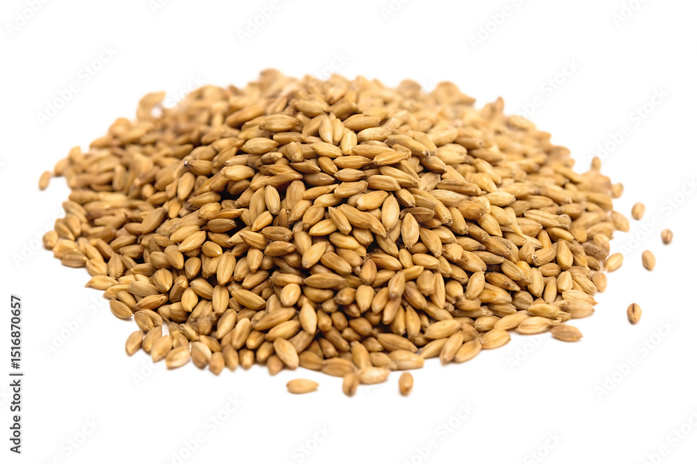 Fototapeta premium Heap of barley grains isolated on a white background png ai generated
