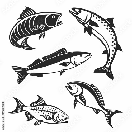 Fish Vector