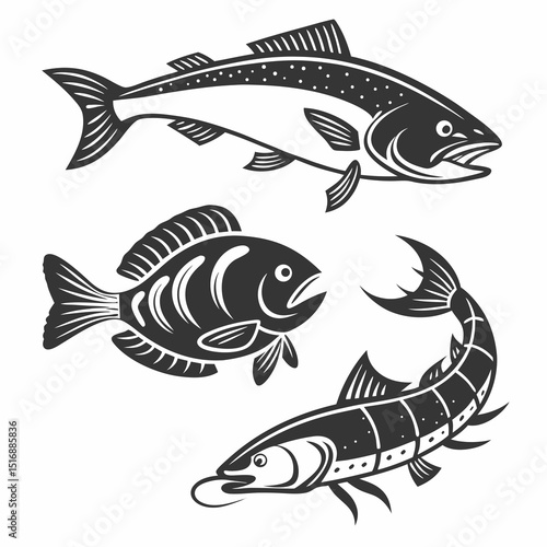Fish Vector