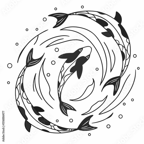  fish collection isolated on white