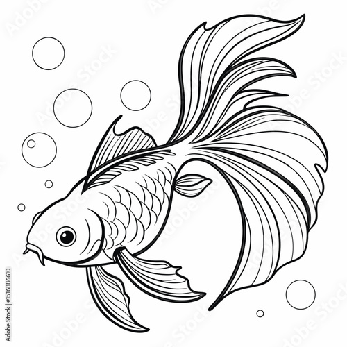  fish collection isolated on white