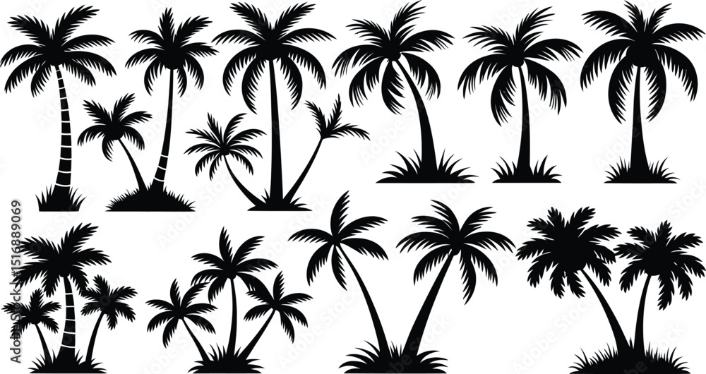 Obraz premium palm trees silhouette set, tropical coconut, isolated on white background