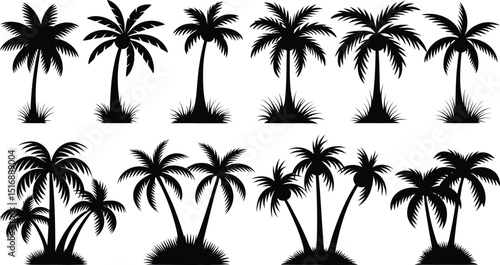 palm trees silhouette set, tropical coconut, isolated on white background