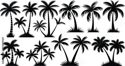 palm trees silhouette set, tropical coconut, isolated on white background
