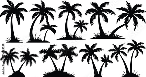 palm trees silhouette set, tropical coconut, isolated on white background