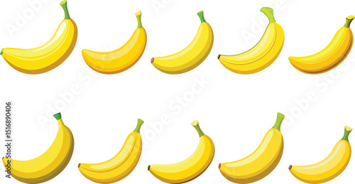 Banana fruit set vector illustration