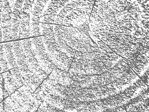 Circle Gray Wood Texture Vector Background