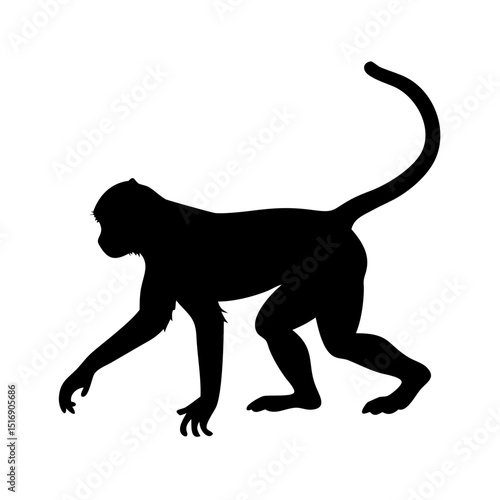 Monkey silhouette vector illustration featuring primate wildlife animal jungle mammal nature design art