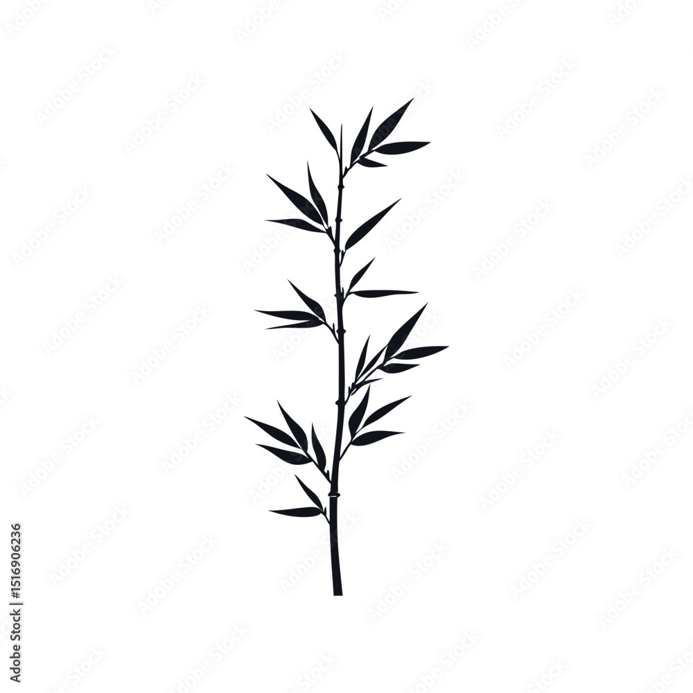 Fototapeta premium Elegant Bamboo Illustration Minimalist Line Art Graphic