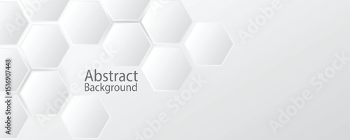 modern abstract background with white and gray hexagon shapes. vector illustration design