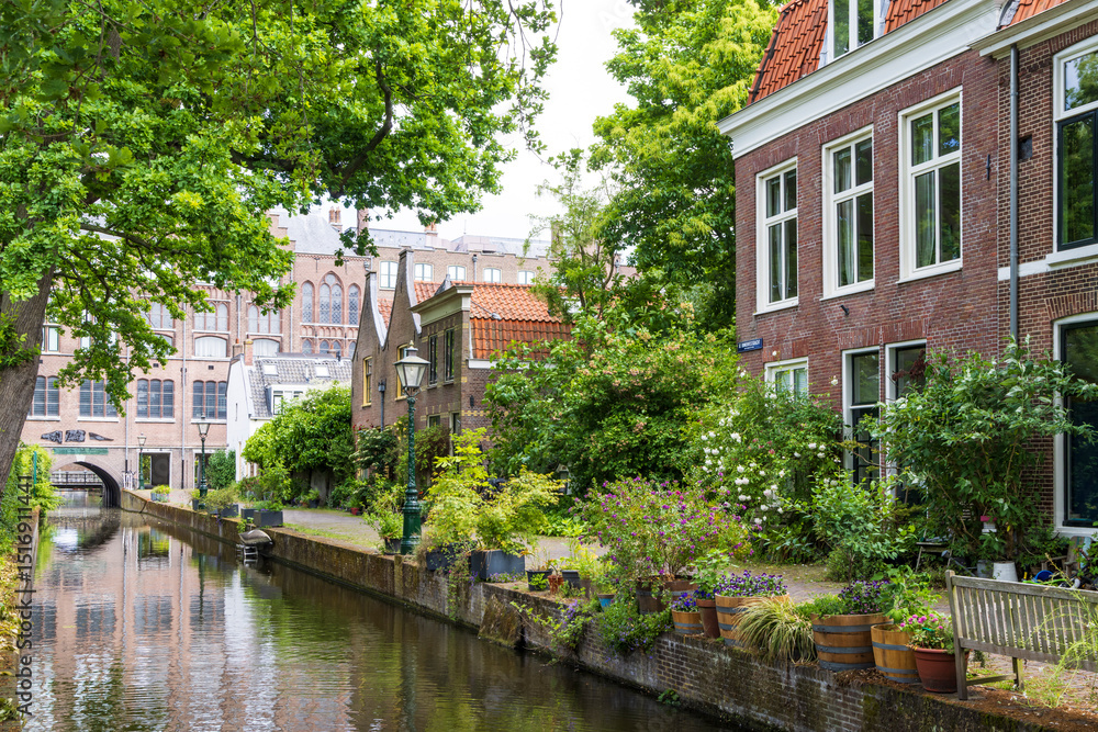 Naklejka premium Urban greening with pots, plants and flowers in front of the terraced houses along canals in Leiden in South-Holland in The Netherlands