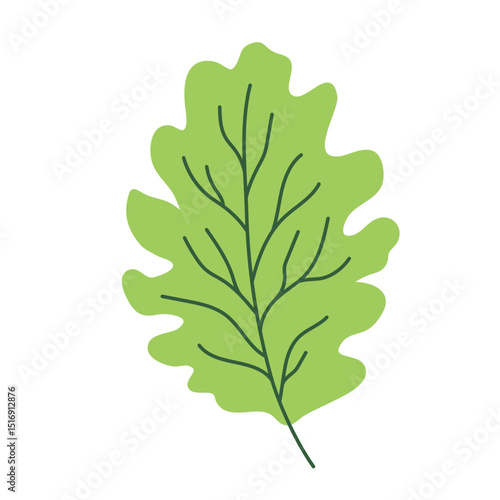 Leaf vector colorful on transparent background