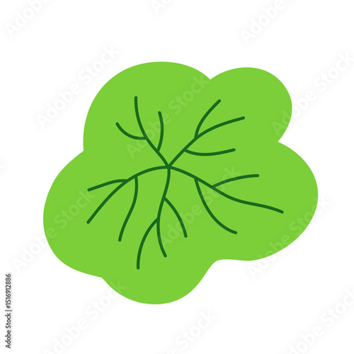 Leaf vector colorful on transparent background