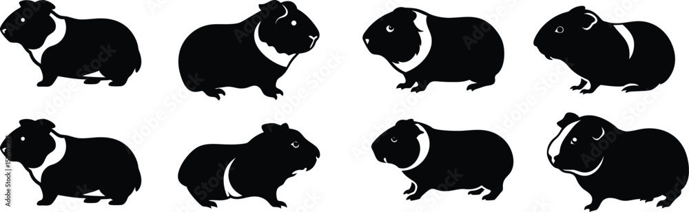 Obraz premium Guinea Pig Silhouette Vector Set