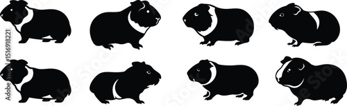 Guinea Pig Silhouette Vector Set