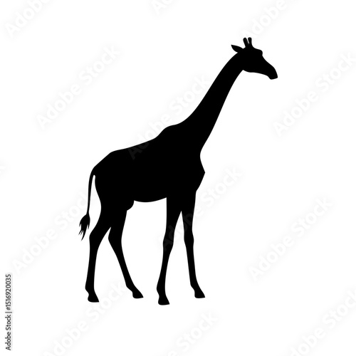 Giraffe silhouette vector illustration africa wildlife safari animal zoo mammal tall neck design