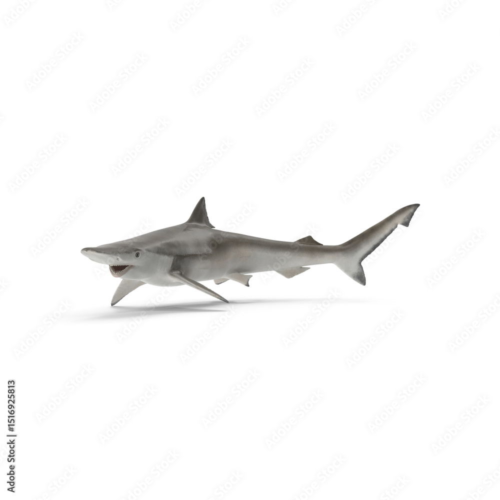 Fototapeta premium Spadenose Shark Pose Isolated on Transparent Background