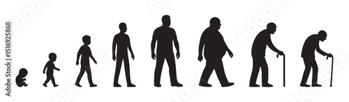 Black silhouette icon set of male life stages from fetus to elderly including baby, toddler, child, teenager, adult man, middle aged, senior person. human aging process, life cycle evolution, lifetime