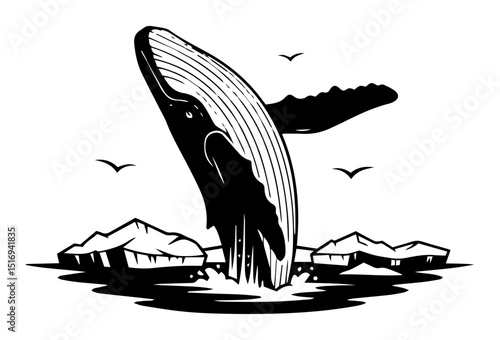 humpback whale breaching arctic waters black vector shape