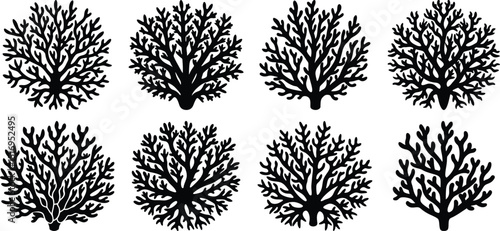 set of vector coral icon