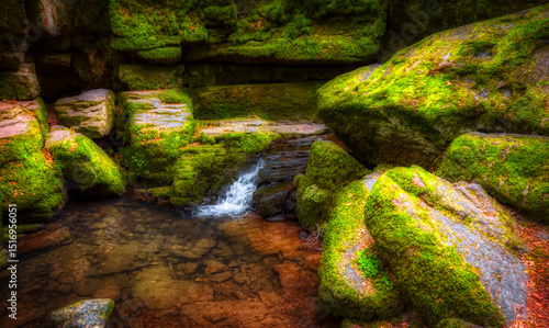 waterfall in the forest