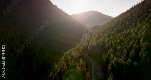 morning in the mountains