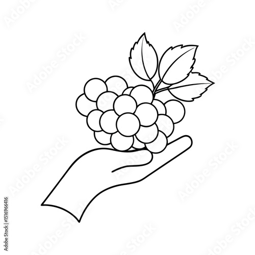Minimalist Stall Line Art Drawing