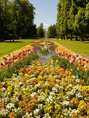 Blumenpracht im Kurpark von Bad Pyrmont
