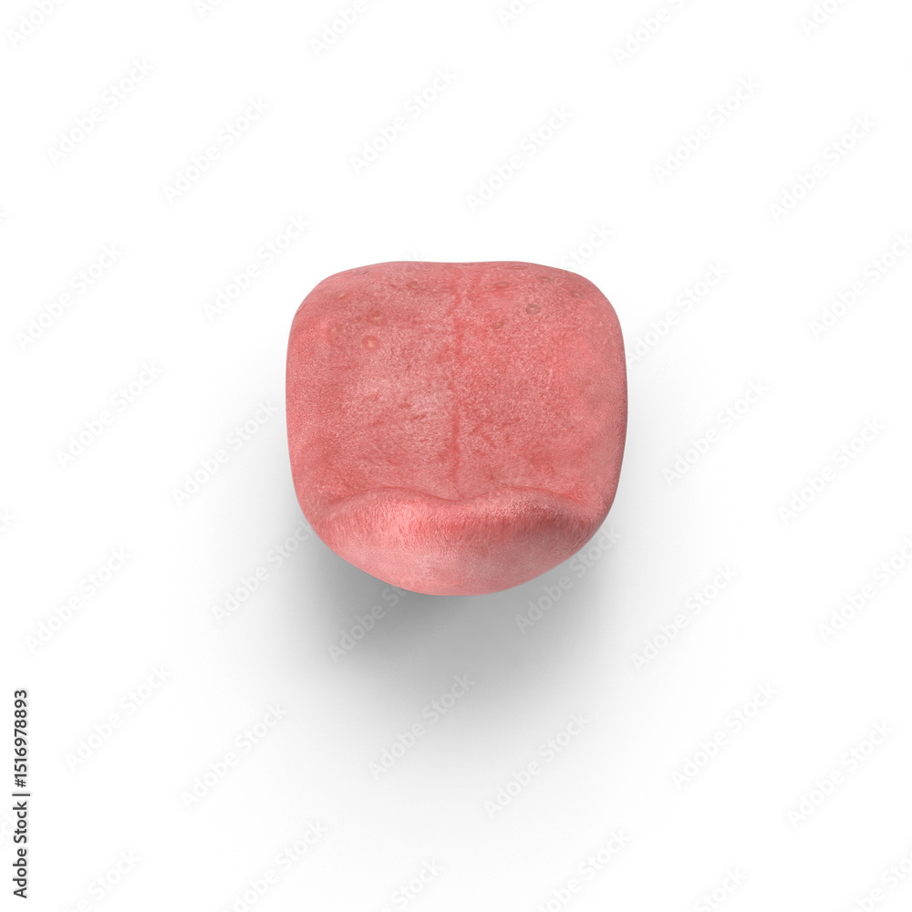 Obraz premium Tongue Pose Isolated on Transparent Background