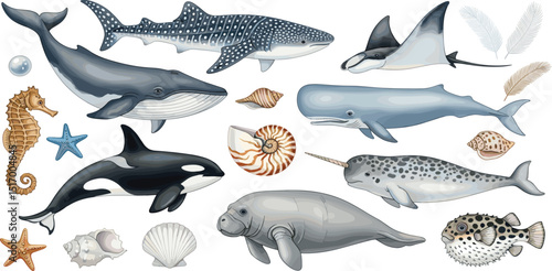 marine animals and shells watercolor whale shark orca narwhal stingray manatee seahorse fish starfish ocean sea life set