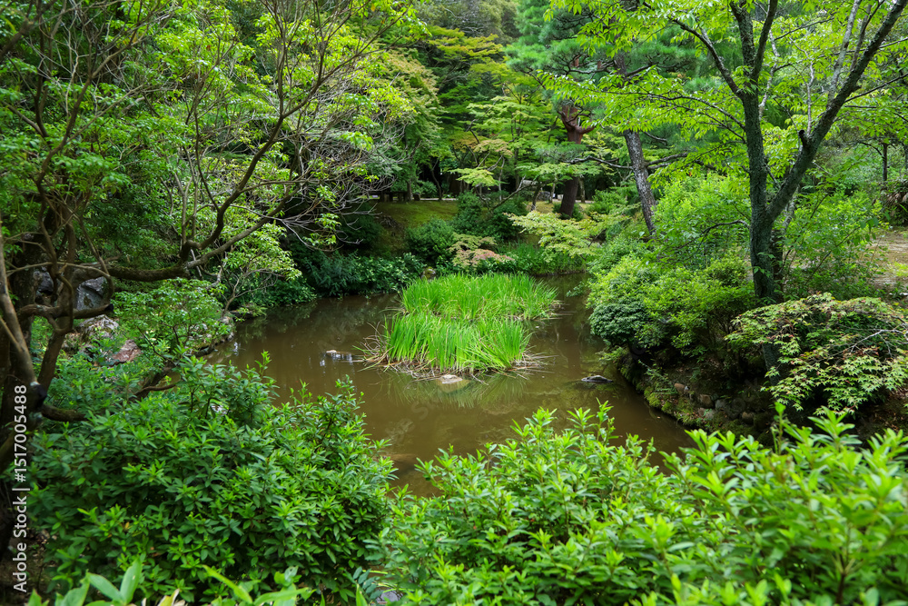 Obraz premium Scenic lush green Kasuga taishashinen Manyo Botanical Gardens in Nara park in Japan