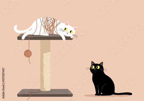 White cat tangled in yarn while black cat observes in playful scene  