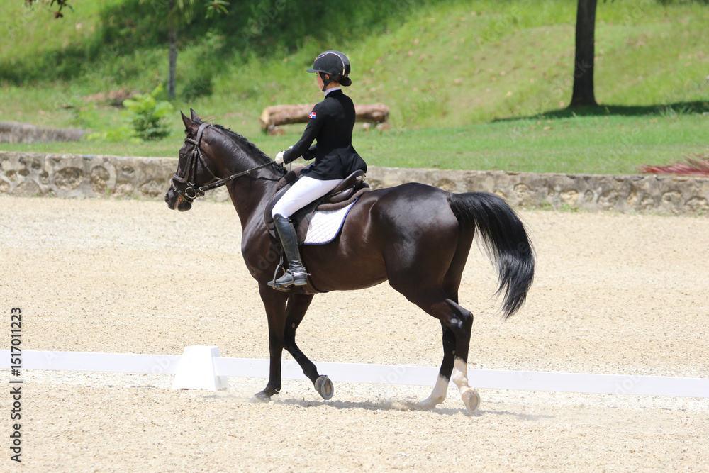 Rider Performing Dressage Test with Horse in Competition Arena Rider Performing Dressage Test with Horse in Competition Arena