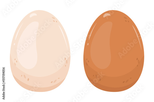 Two chicken eggs white and brown. Vector illustration isolated objects. Ingredients for making breakfast, scrambled eggs, glazed eggs. Whole shell, raw, boiled