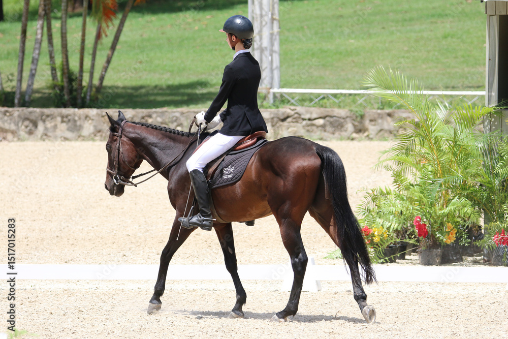 Rider Performing Dressage Test with Horse in Competition Arena Rider Performing Dressage Test with Horse in Competition Arena