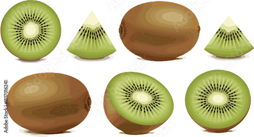 Kiwi fruit set. Watercolor kiwi fruit cut into halves and slices, botanical illustration fresh tropical fruit isolated