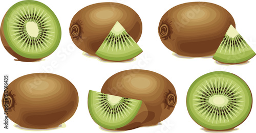 Kiwi fruit set. Watercolor kiwi fruit cut into halves and slices, botanical illustration fresh tropical fruit isolated