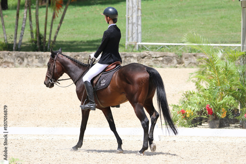 Rider Performing Dressage Test with Horse in Competition Arena Rider Performing Dressage Test with Horse in Competition Arena
