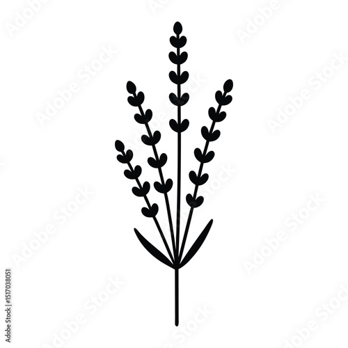lavender sprig icon with small clustered flowers on a tall stem silhouette vector illustration on white background