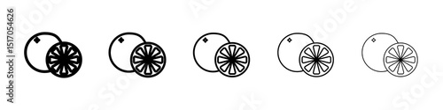 Citrus icon graphic set. trendy stroke line style