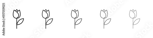 Flower tulip icon graphic set. trendy stroke line style