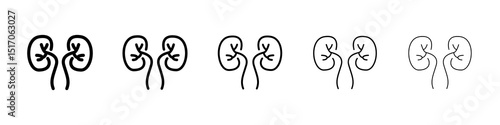 Kidneys icon graphic set. trendy stroke line style