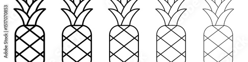 Pineapple icon graphic set. trendy stroke line style