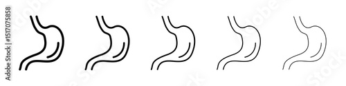 Stomach icon graphic set. trendy stroke line style