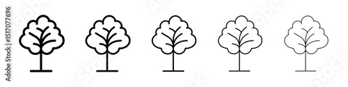 Tree icon graphic set. trendy stroke line style